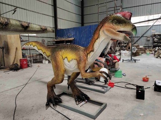 Yetişkin Tema Parkı Gerçekçi Dinozor Robot Animatronik Velociraptor