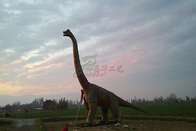 Long 5-20 Metters Brachiosaurus Statue Custom Large Dinosaur Zoo Displays