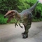Raptor dinozor, gerçek dinozor kostümü satılıyor.