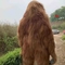 Tema Parkı İçin Yetişkin Goril Kostüm Gerçekçi Goril Suit