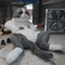 Yaşam Boyu Gerçekçi Animatronik Hayvanlar 200W Boy Özel İnteraktif Konuşan Kedi