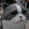 Yaşam Boyu Gerçekçi Animatronik Kedi, Etkileşimli Konuşan Güzel Kedi