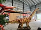 Açık Brachiosaurus Dinozor Animasyonlu Animatronik Tam Boy Model