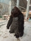 Peluş Kürklü Yetişkin Gerçekçi Cadılar Bayramı Kostümleri Maskot Hayvan Elbise Takım Elbise Fursuit Gorilla