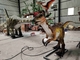 Yetişkin Tema Parkı Gerçekçi Dinozor Robot Animatronik Velociraptor