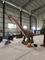 Dinosaur Park 3D Otentik Animatronik Dino Özelleştirme