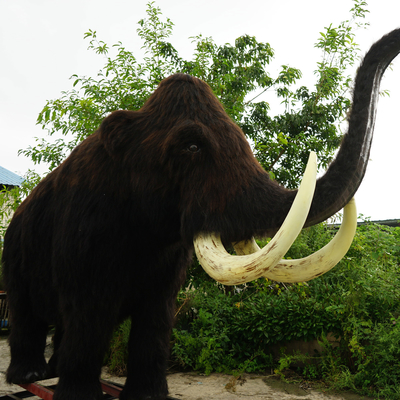 Eğlence Parkı için Tam Boy Gerçekçi Yünlü Mamut Suya Dayanıklı