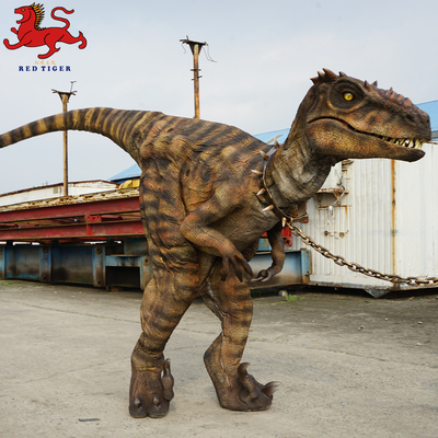 Animatronic Velociraptor Kostümü, Yapay Yetişkin Dinozor Kostümü