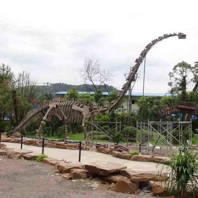 Büyük Açık Dinozor İskeleti, Güneşe Dayanıklı Dinozor Modeli İskeleti