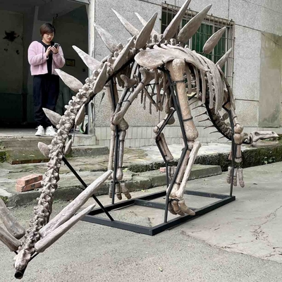 satın al Sergi Jurassic Park Dinozor İskeleti, Dinozor Kemik Kopyaları online manufacture