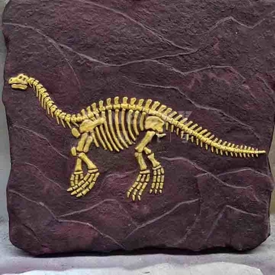 satın al Dış Mekan Dinozor İskeleti Replika Modeli Yaşam Boyu RoHS Onaylandı online manufacture