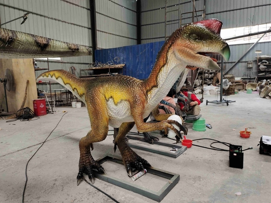 satın al Yetişkin Tema Parkı Gerçekçi Dinozor Robot Animatronik Velociraptor online manufacture