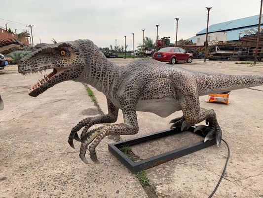 Yaşam Boyu Gerçekçi Animatronik Dinozor Velociraptor Modeli Tema Parkı Dinozoru
