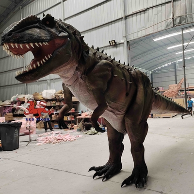 İçin kişiselleştirme Gerçekçi Dinozor Kostüm Carcharodontosaurus Modeli