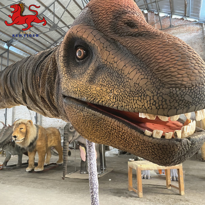 İyi bir fiyat. Kapalı Gerçekçi Dinozor Kafası Duvara Monte Dekoratif Boyut Özelleştirilmiş çevrimiçi