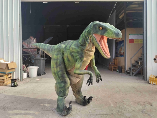 Good price Alışveriş Merkezi Dinosür Giysi Giysi CE RoHs çevrimiçi