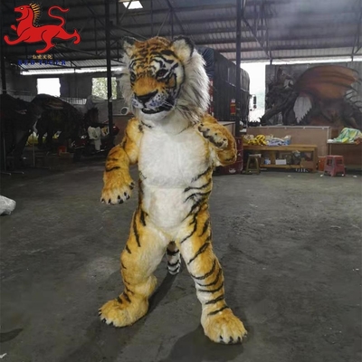 name