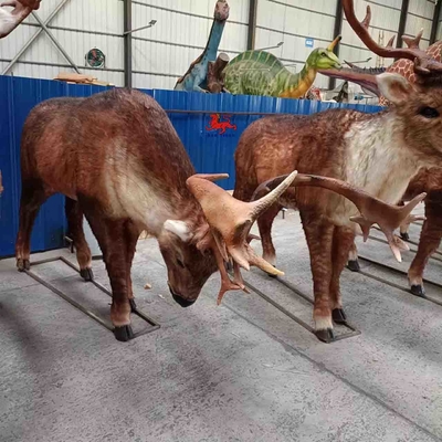 Adı
