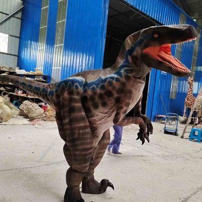 name