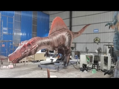 Gerçekçi animatronik dinozor Spinosaurus Servo motorlar Büyük hareket yelpazesi
