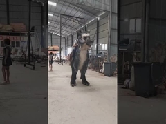 Animatronik uzaktan kumandalı dinozor festivalinde kostümle yürüyor.
